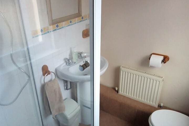Bryn Coed Guest House photo 3