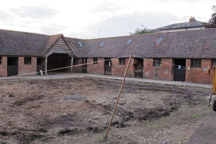 Bluebell Farm photo 4