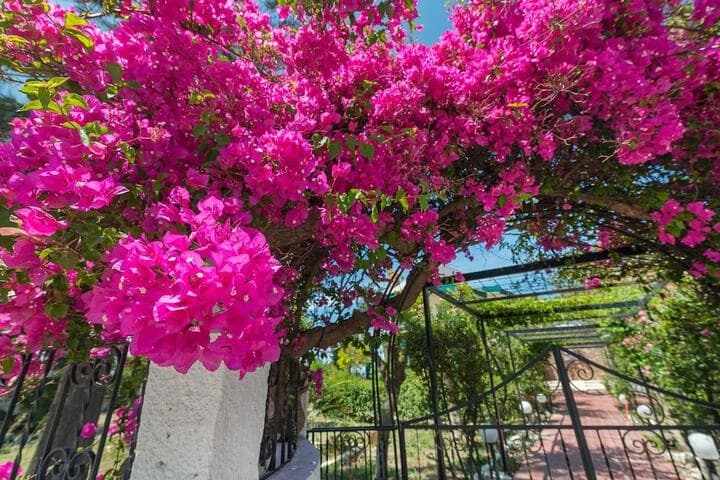 Villas Marianna photo 4