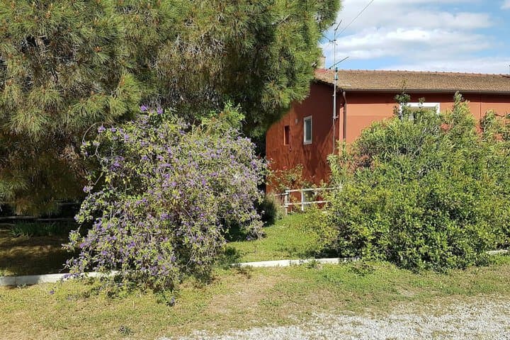 Tenuta Col Di Sasso photo 3