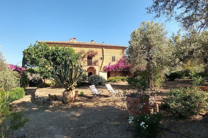 Pettineo destination view