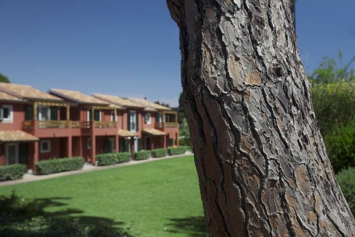 Pineta Residence photo 5
