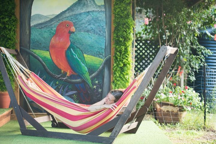 Fig Tree Retro Studio photo 4
