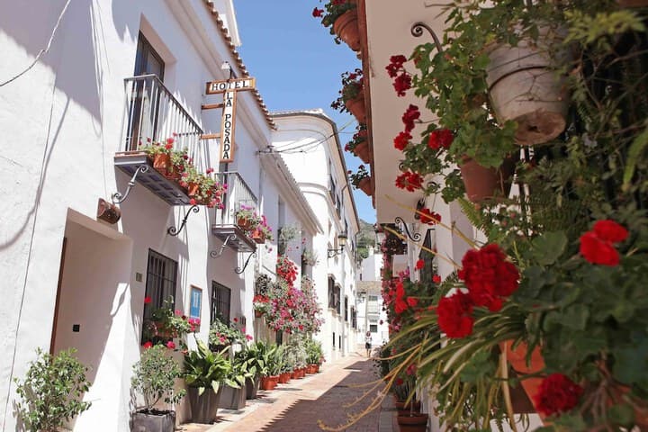 Hotel La Posada photo 4