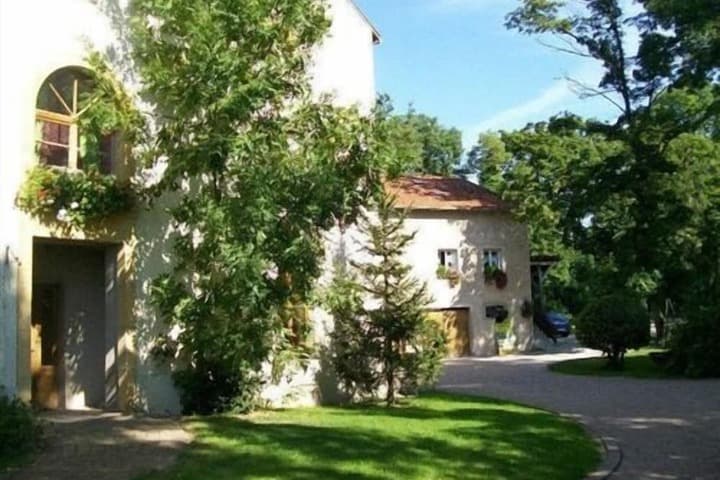 Le Jardin de Norah photo 2
