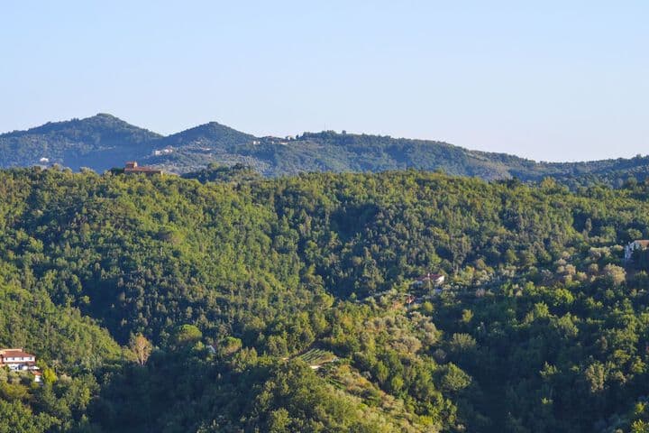 Benvenuti Nel Sud photo 2