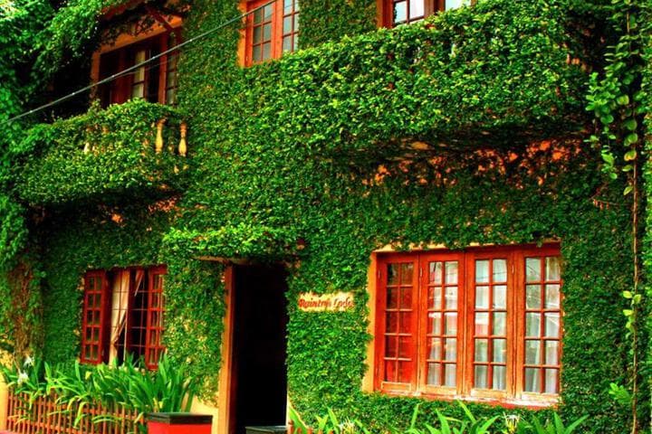 Raintree Lodge photo 1