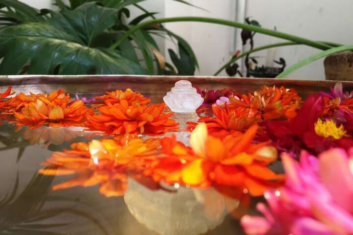Shakya House photo 2