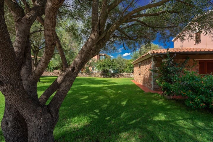 Residenze Gallura photo 4