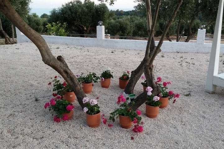 Elaias Gi Residence photo 2
