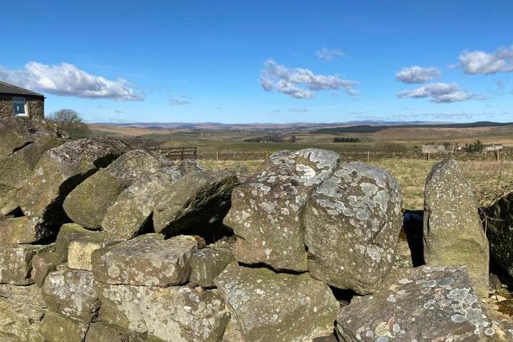The Gun at Ridsdale photo 4