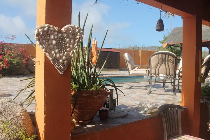 Fuego Mio Bed & Breakfast photo 5