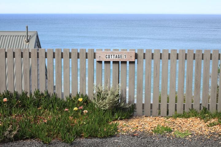 Points South by The Sea photo 2