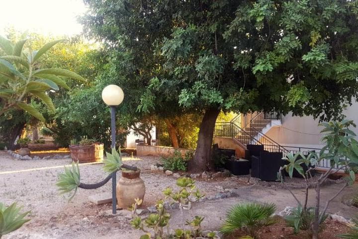Villa Cactus photo 1