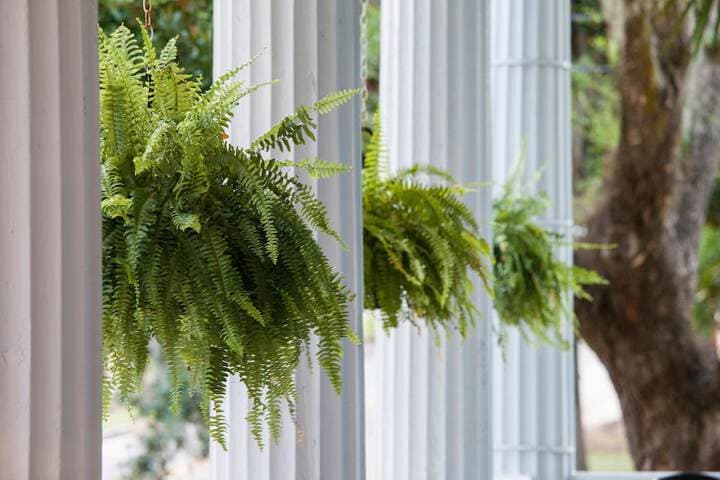 Rhett House Inn photo 4