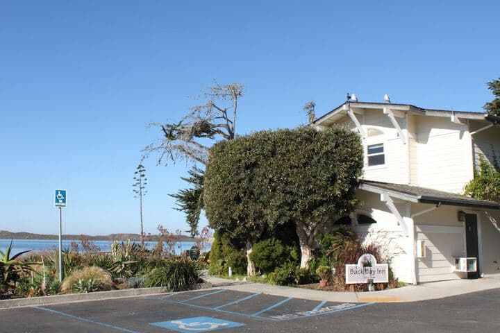 Back Bay Inn photo 3