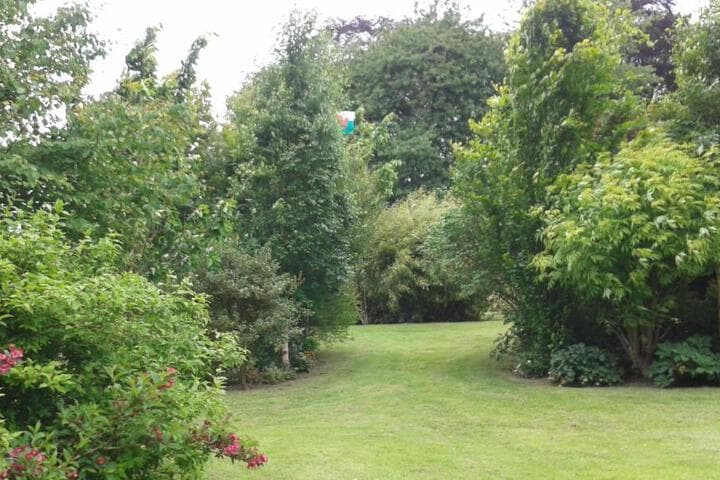 Beech House photo 4