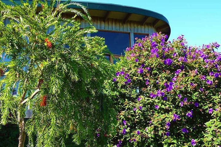 The Boomerangs photo 2