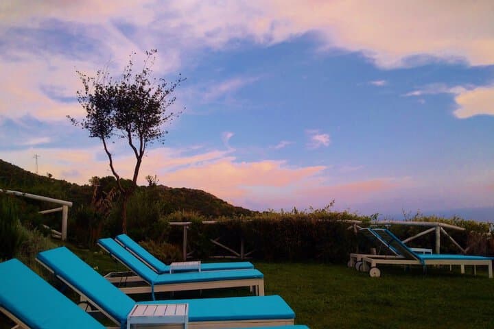 Tenuta Solomita photo 5