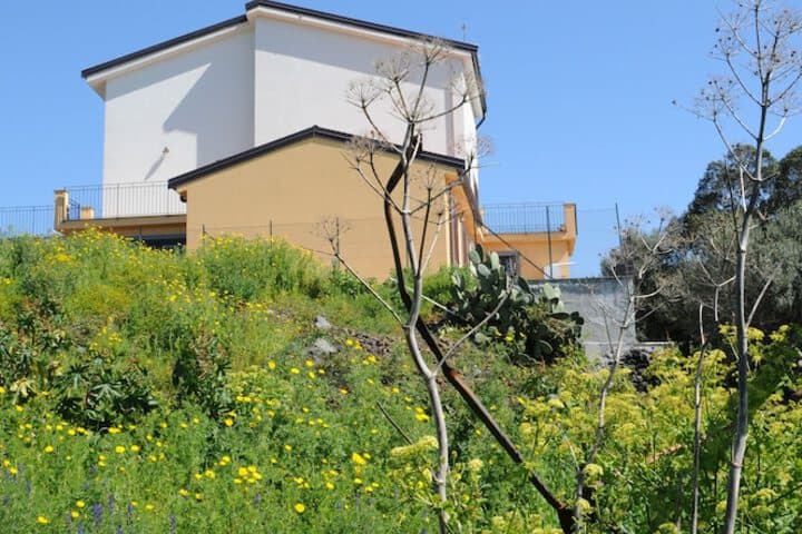 La Circumetnea B&B photo 3