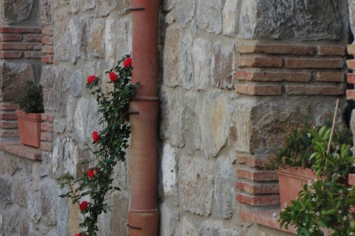 Masseria del Piano photo 3