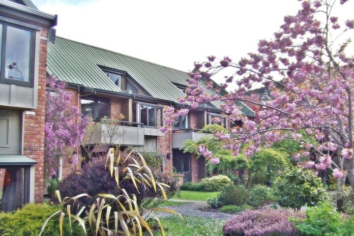 North Dunedin destination view