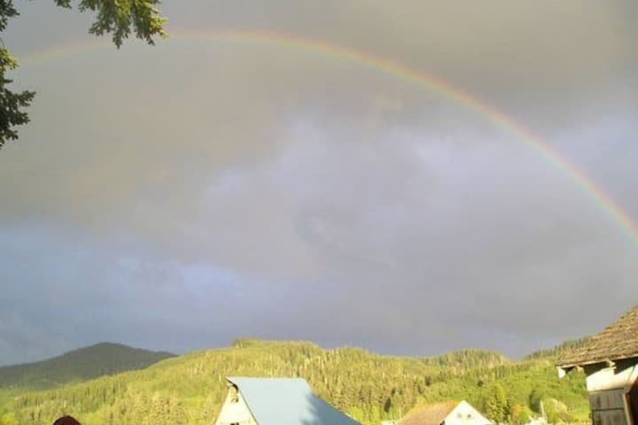 Miller Tree Inn photo 2