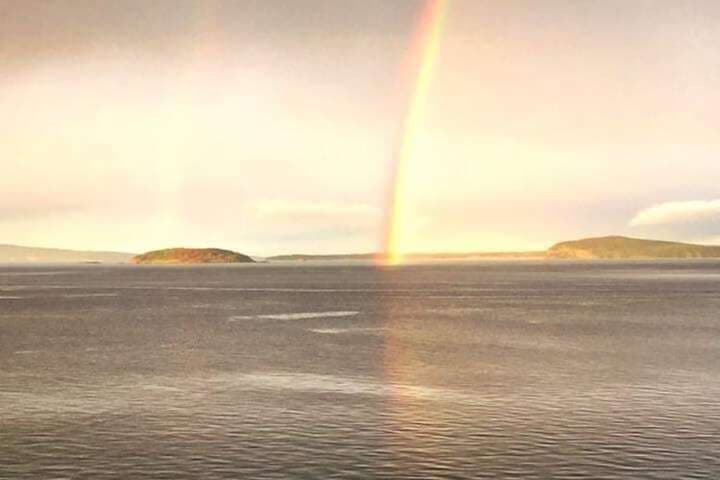 Friday Harbor Grand B&B photo 4