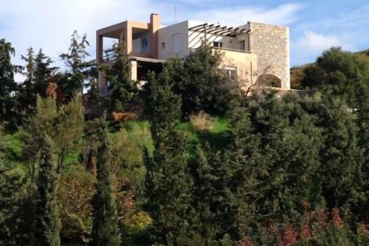 Wild Pear Villa photo 4