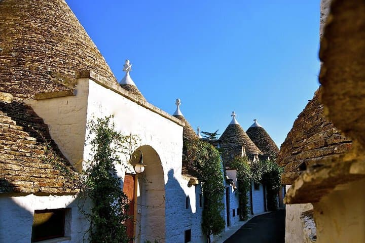 Trulli e Puglia photo 5