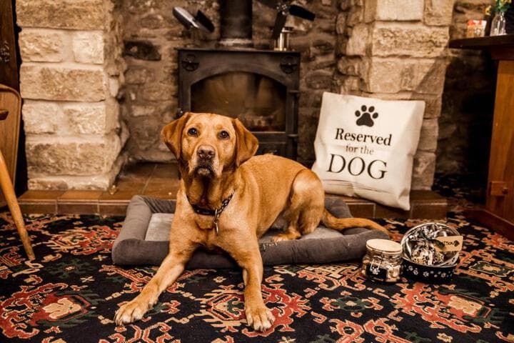 The Barn Guest House&Tearoom photo 5