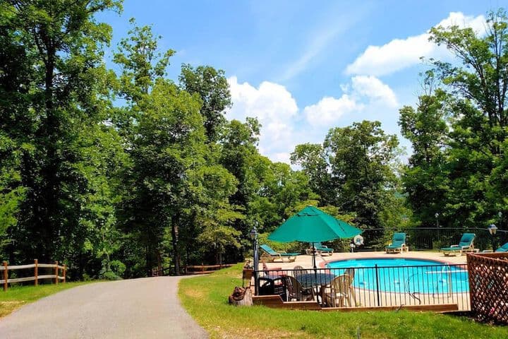 Lake Forest Luxury Log Cabins photo 4