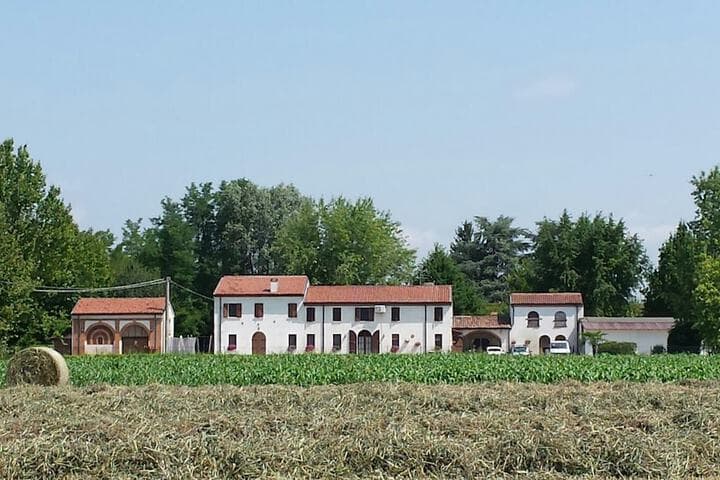 B&B La Casa delle Rondini photo 5