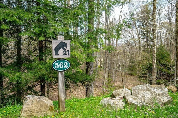 Bear Haven photo 4