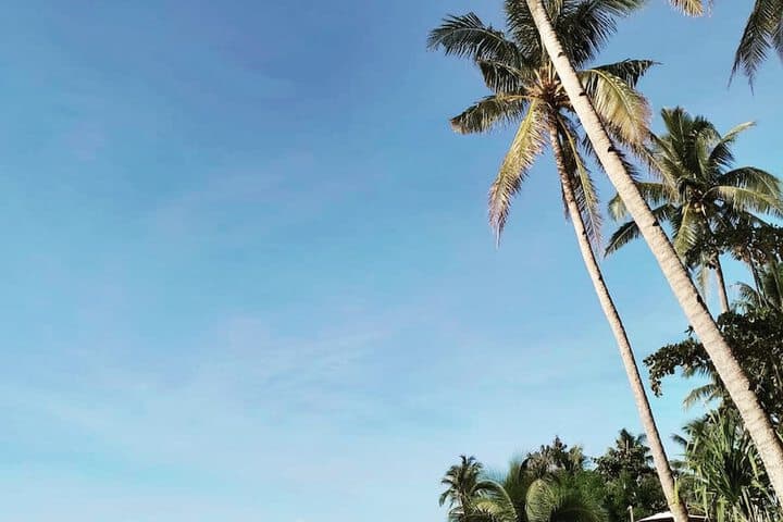 Sandy Feet Siargao photo 4