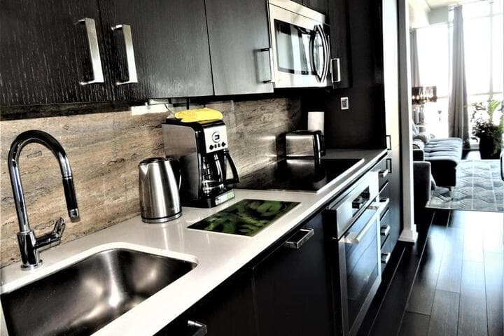 TVHR Luxury Condos in Heart of Downtown photo 5