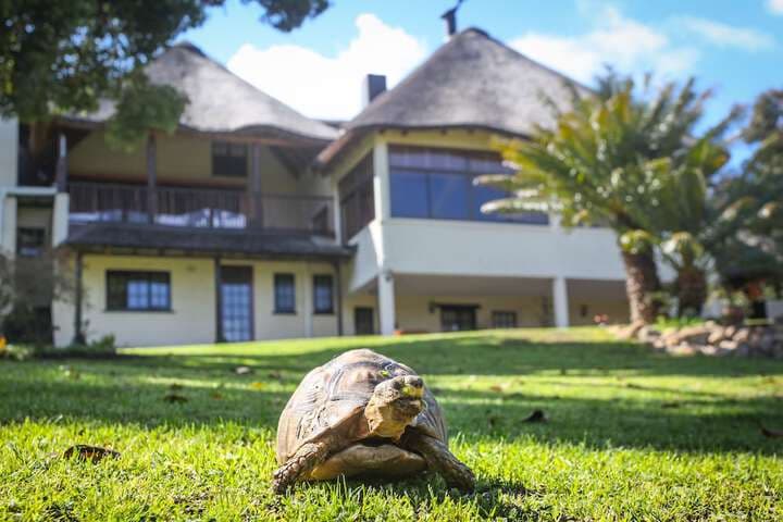 Winelands Villa Guesthouse photo 2