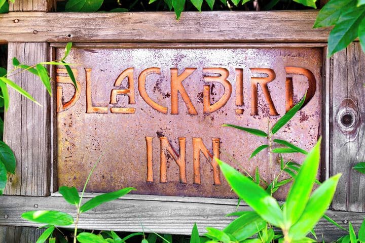 Blackbird Inn photo 5