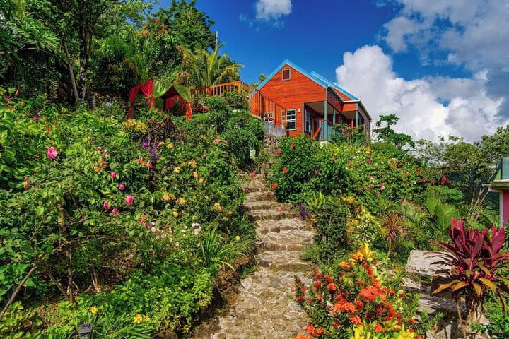 Tropical Paradise View photo 4