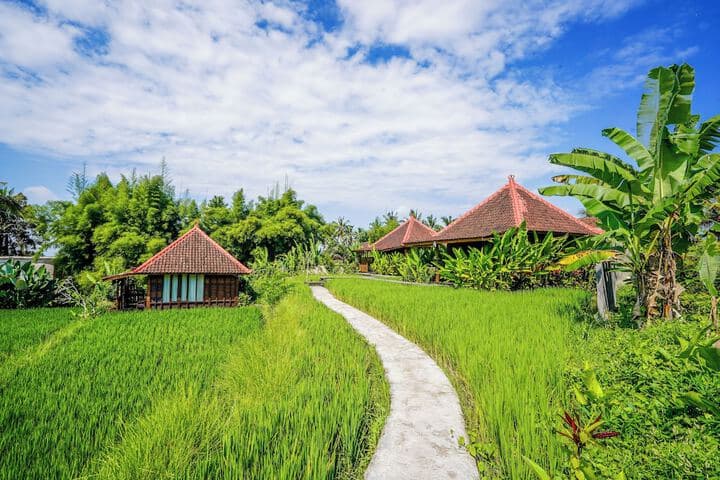 Ubud Sawah Homestay photo 4
