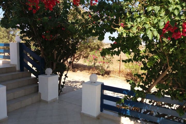 Villa Marios photo 2