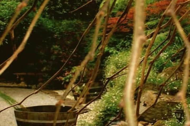 Forget Me Not Cottages photo 3
