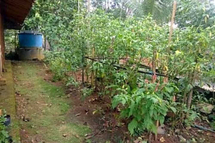 Homestay An Nur photo 5