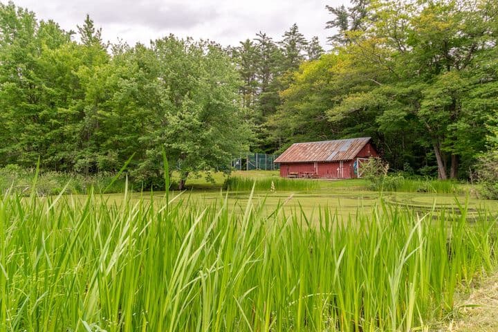 Cranmore Mountain Lodge Bed & Breakfast photo 5