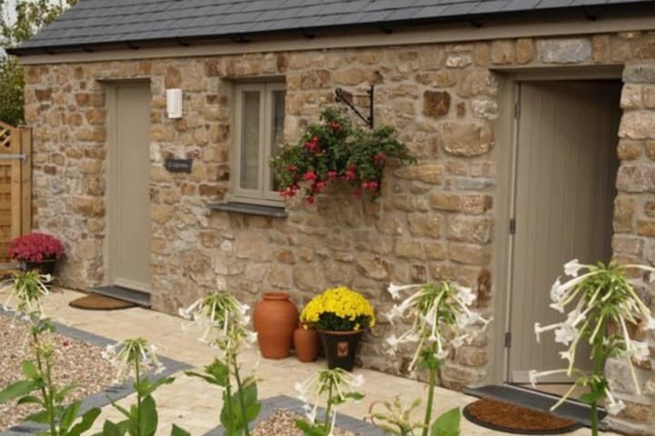 Canaston Oaks photo 2