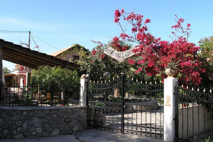 Olive Tree Cottages photo 5