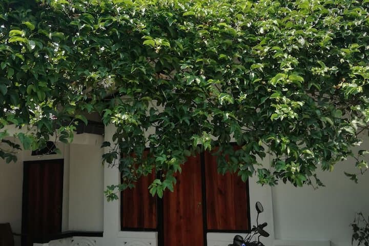 20 House Arugam photo 2