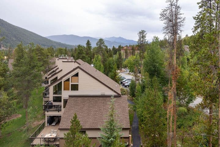 Quicksilver by Summit County Mountain Retreats photo 4