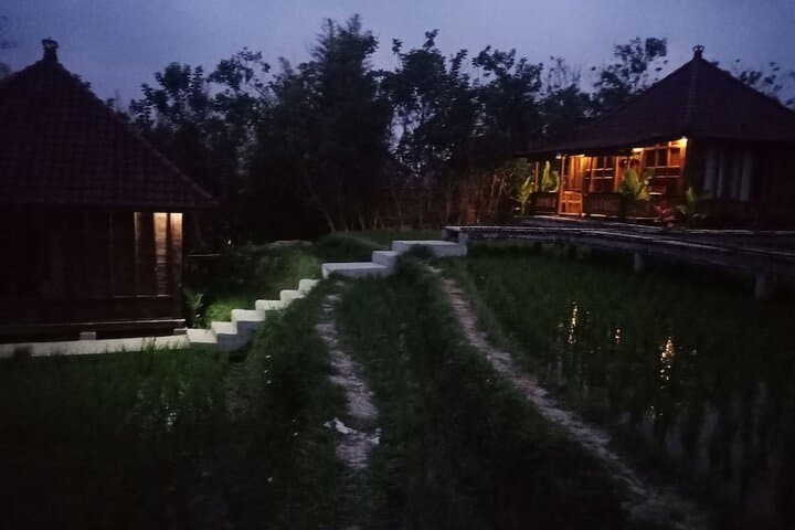 Ubud Sawah Homestay photo 3