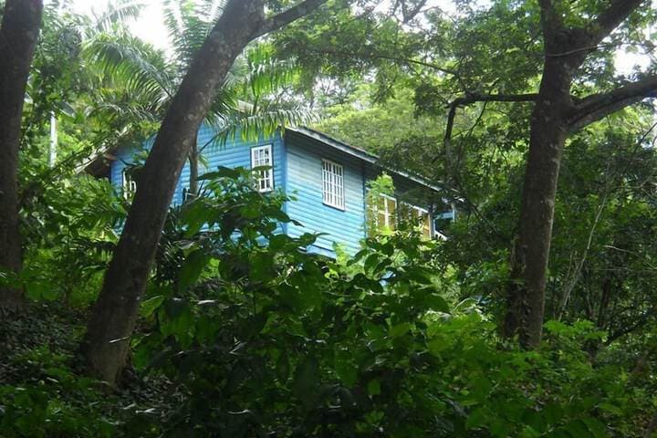 Adventure Eco Villas photo 3